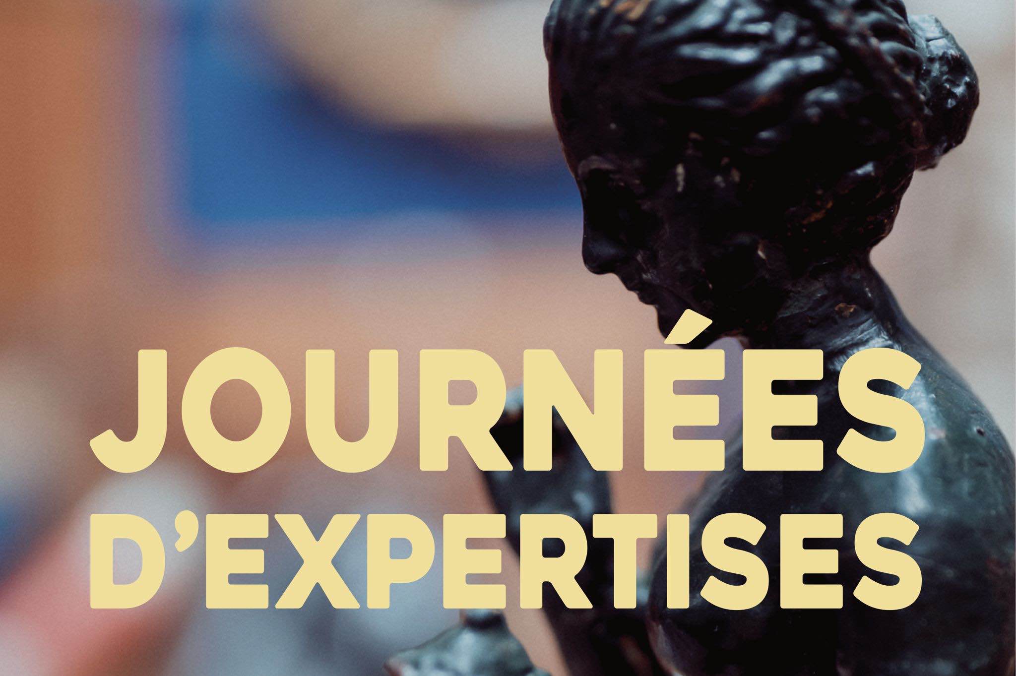 Date des journées d'expertises